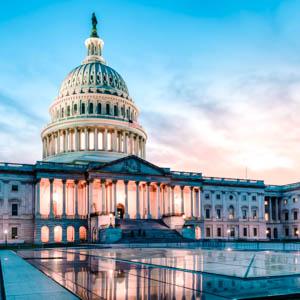 U.S. Capitol