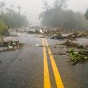 Road covered with debris after hurricane